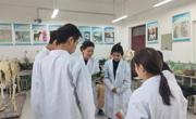 阿帕克孜·麦麦提个人简介