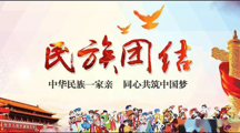 新疆维吾尔自治区民族团结进步模范区创建条例