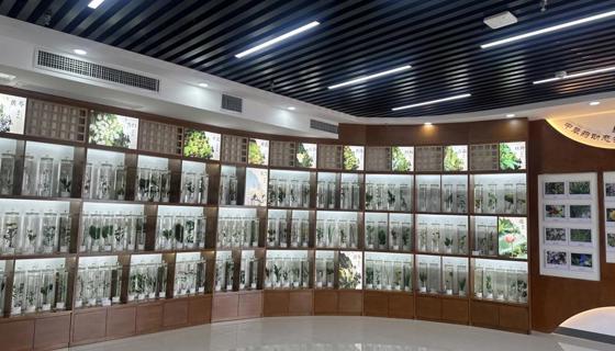 “医”路寻踪：中医药博物馆之行